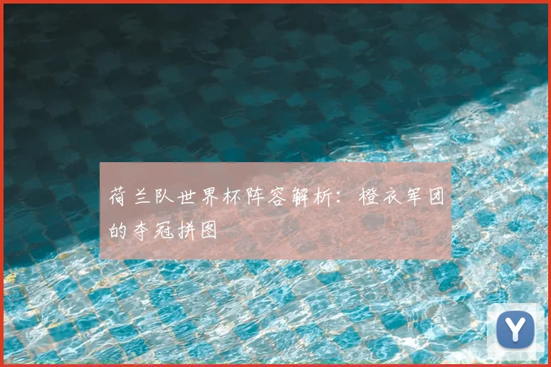 荷兰队世界杯阵容解析：橙衣军团的夺冠拼图