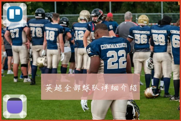 英超全部球队详细介绍